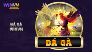 Trang chủ 6 Đá gà WINVN